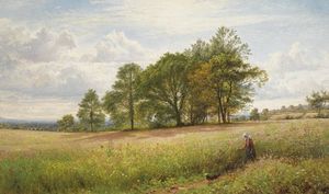 Summertime: Through the Hayfield, Worcestershire