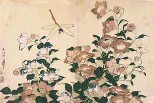 Chinese Bellflowers And Dragonfly
