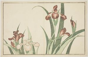 Katsushika Hokusai - Iris