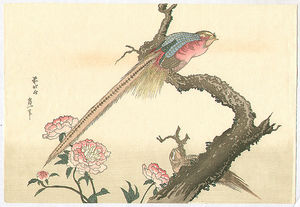 Katsushika Hokusai - Two Pheasants And Peonies