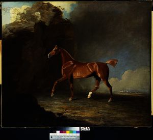 A Golden Chestnut Racehorse by a Rock Formation