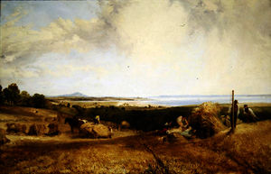 The harvest field