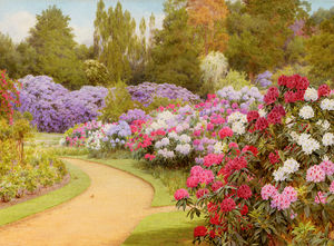 The rhododendron walk