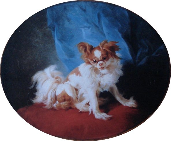 Wikioo.org - The Encyclopedia of Fine Arts - Painting, Artwork by Christophe Huet - Portrait of a King Charles Spaniel