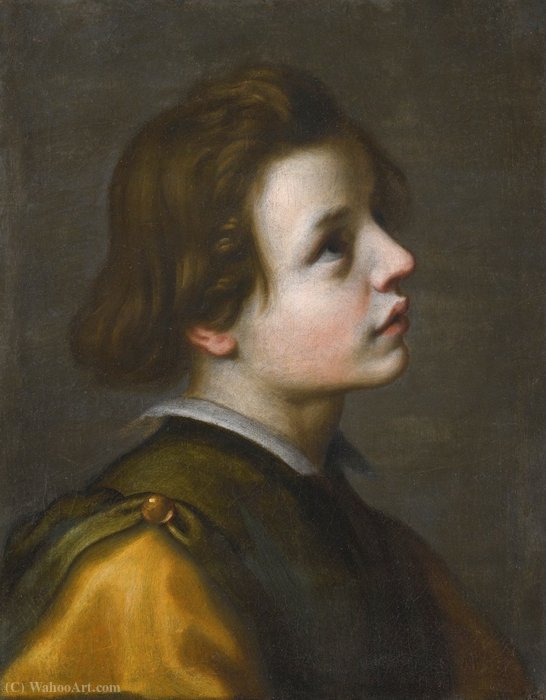 Wikioo.org - The Encyclopedia of Fine Arts - Painting, Artwork by Francesco Curradi - Head of a Youth