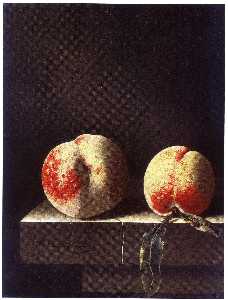 After Adriaen Coorte - English Two Peaches