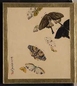 Shibata Zeshin - Lacquer Paintings of Various Subjects Butterflies
