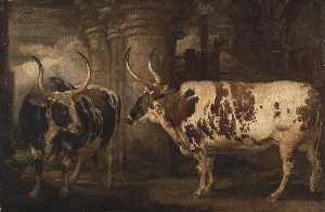 Portraits of two extraordinary oxen, the property of the Earl of Powis