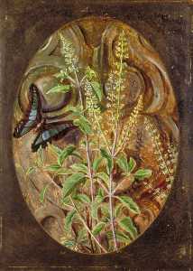 Marianne North - Holy Basil or Tulsi