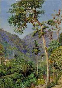 Glimpse of Mr Weilhorn's House at Petropolis, Brazil