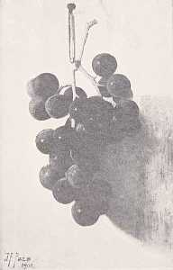 Grapes, (painting)