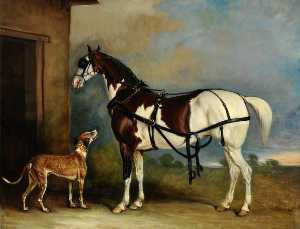 'Lofty', a Skewbald Carriage Horse, with a Greyhound