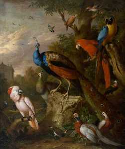 Jakob Bogdany - Peacocks and Other Exotic Birds