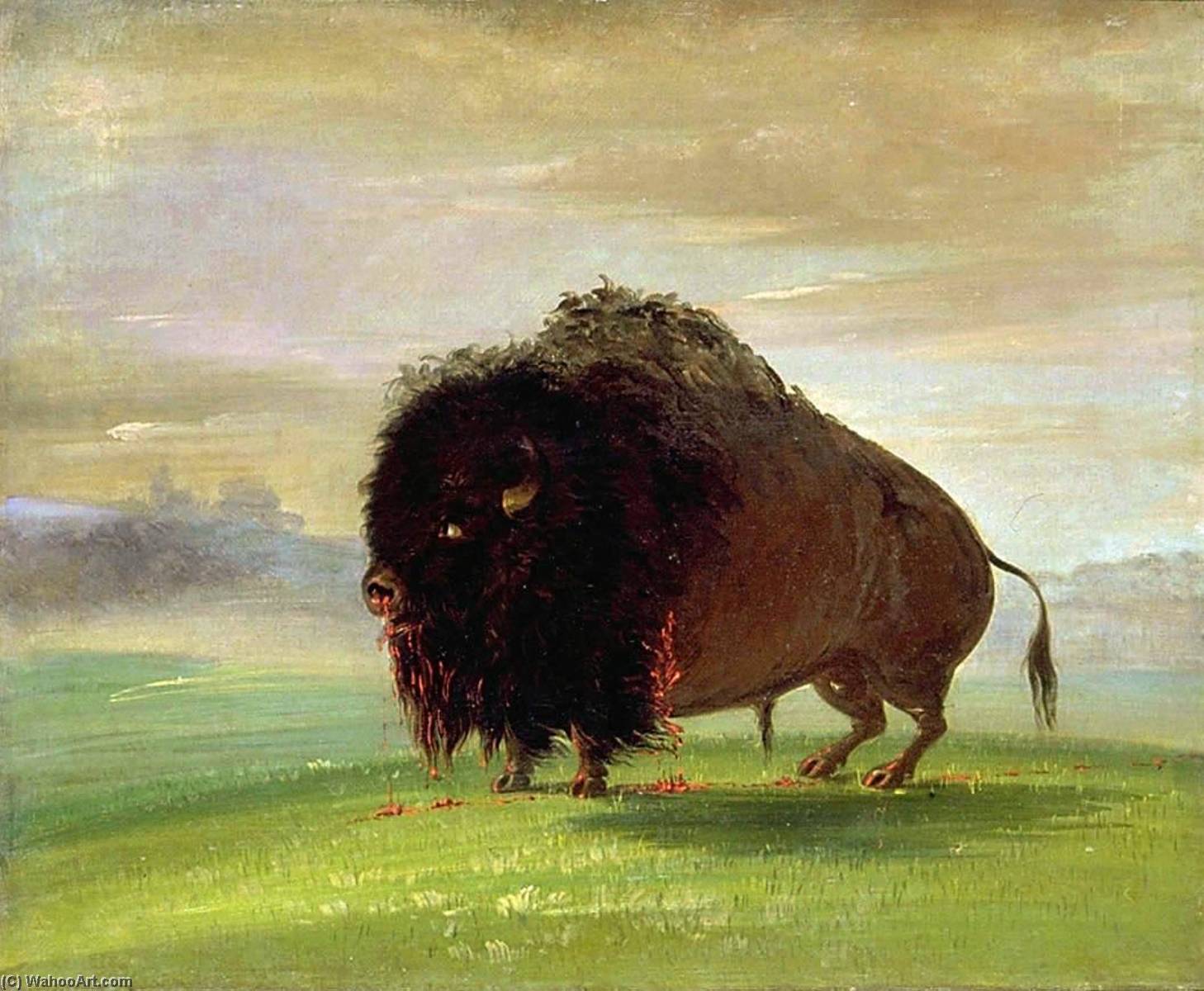 Убитый бизон. Картины Джорджа Кэтлина. Гора черепов бизонов. Бизон живопись. Бизоны и индейцы.