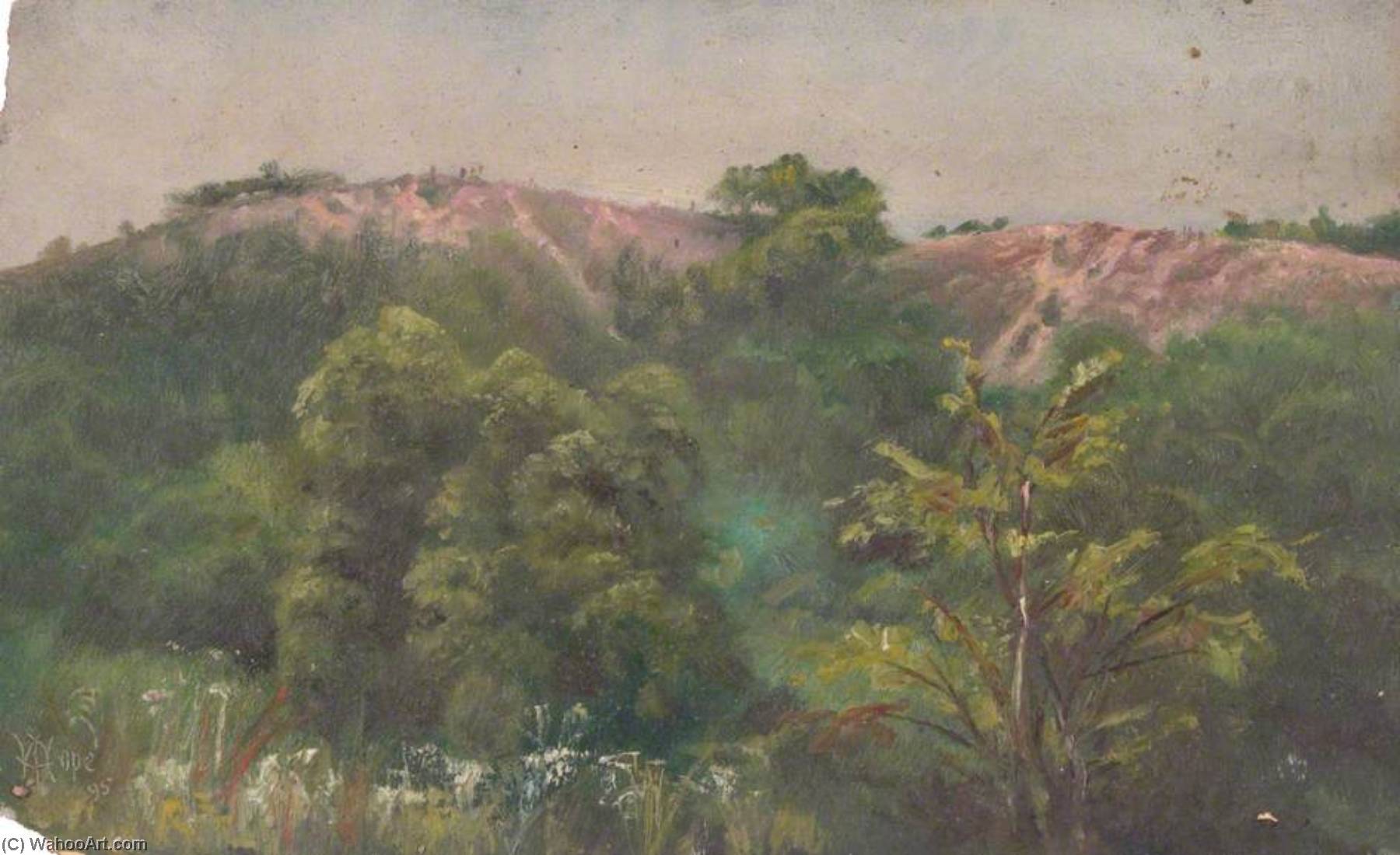 Wikioo.org - The Encyclopedia of Fine Arts - Painting, Artwork by William Henry Hope - Croham Hurst, Croydon, Surrey, from Fox Farm