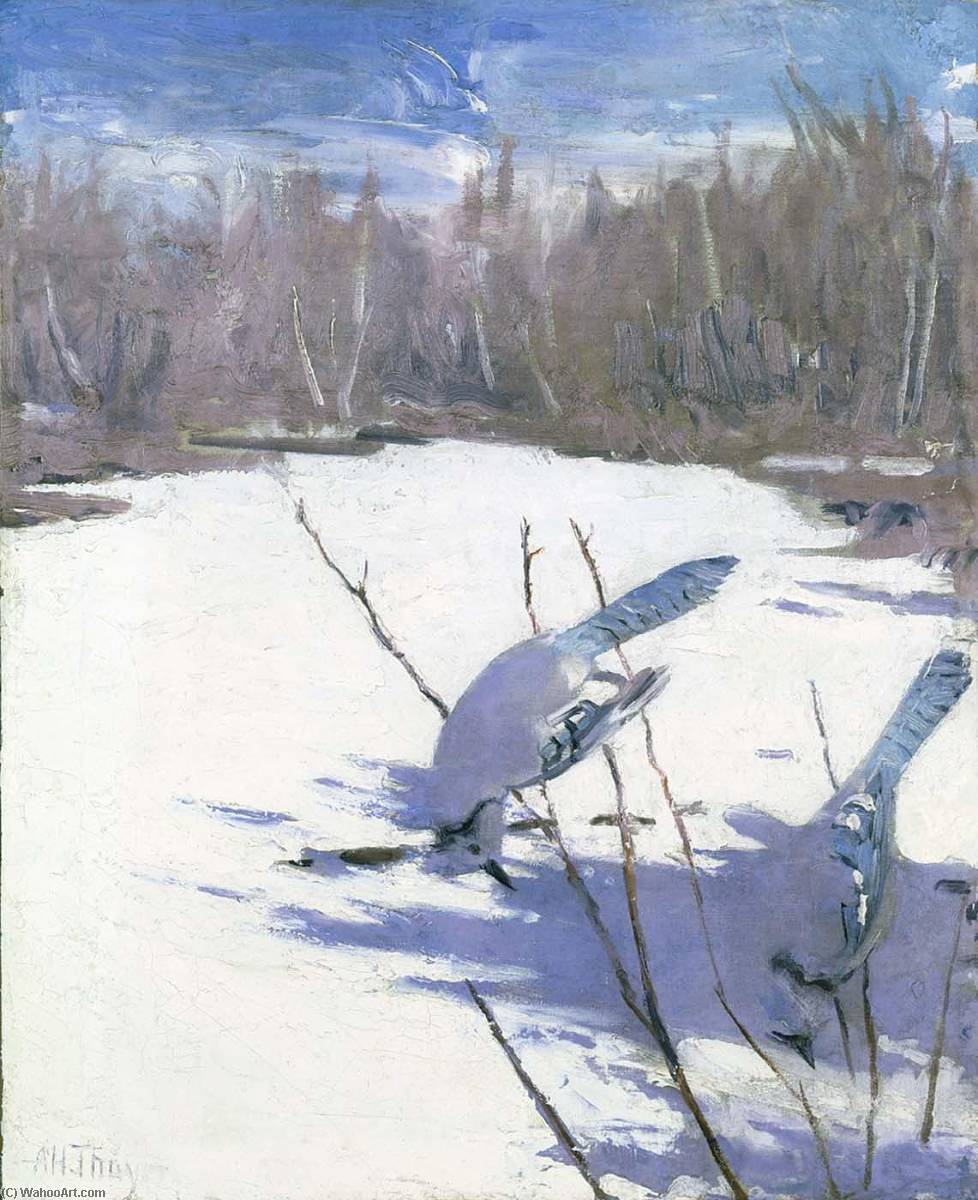 Wikioo.org - The Encyclopedia of Fine Arts - Painting, Artwork by Abbott Handerson Thayer - Blue Jays in Winter, study for book Concealing Coloration in the Animal Kingdom