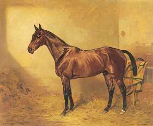 Horse Portrait, 'The Airship'