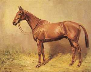 Horse Portrait, 'Willow Holt'