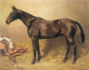 Horse Portrait, 'Lancer'