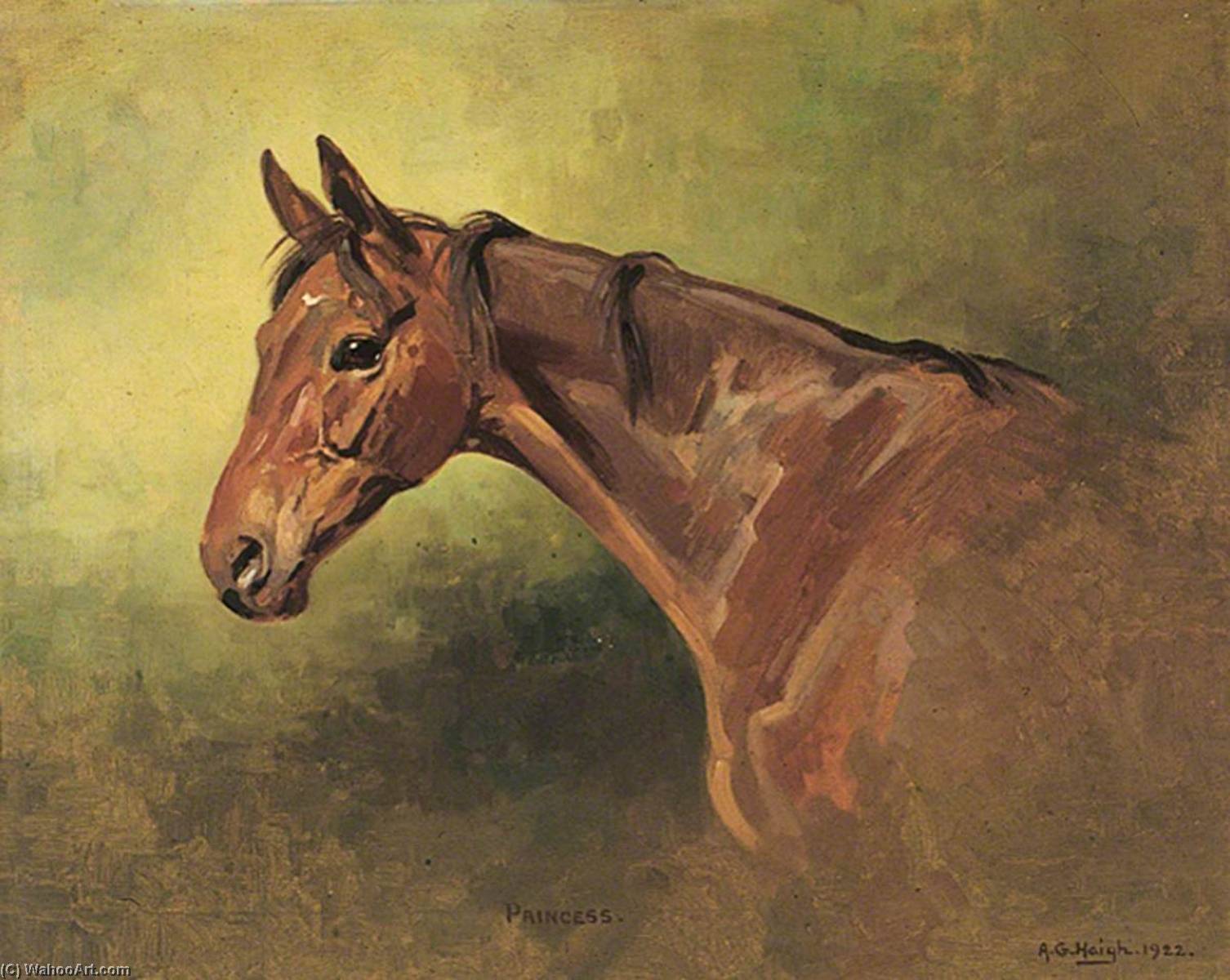 Wikioo.org - The Encyclopedia of Fine Arts - Painting, Artwork by Alfred Grenfell Haigh - Horse Portrait, 'Princess'