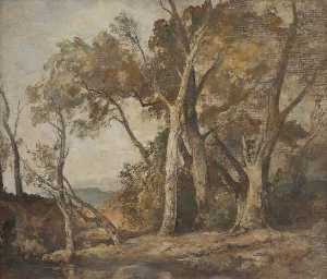 A Composition of Forest Trees