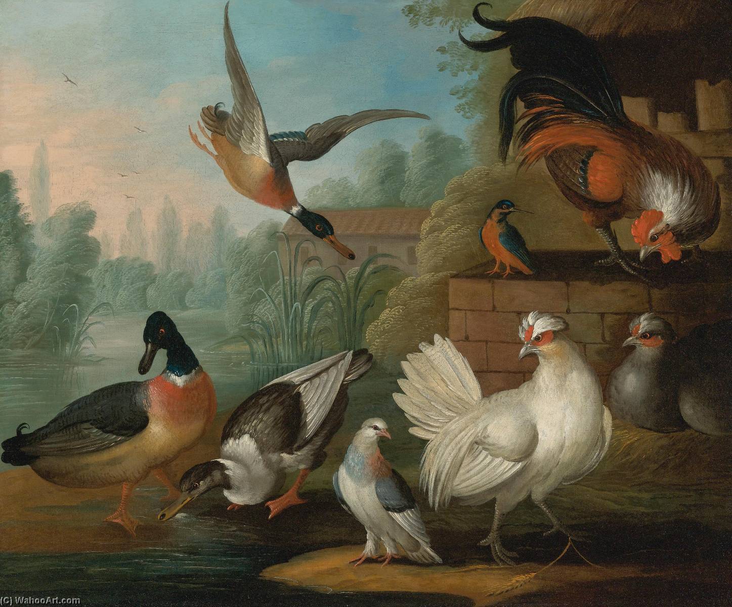 Wikioo.org - The Encyclopedia of Fine Arts - Painting, Artwork by Marmaduke Cradock - Still Life with Cockerels, Ducks, a Kingfisher and a Pigeon in a River Landscape