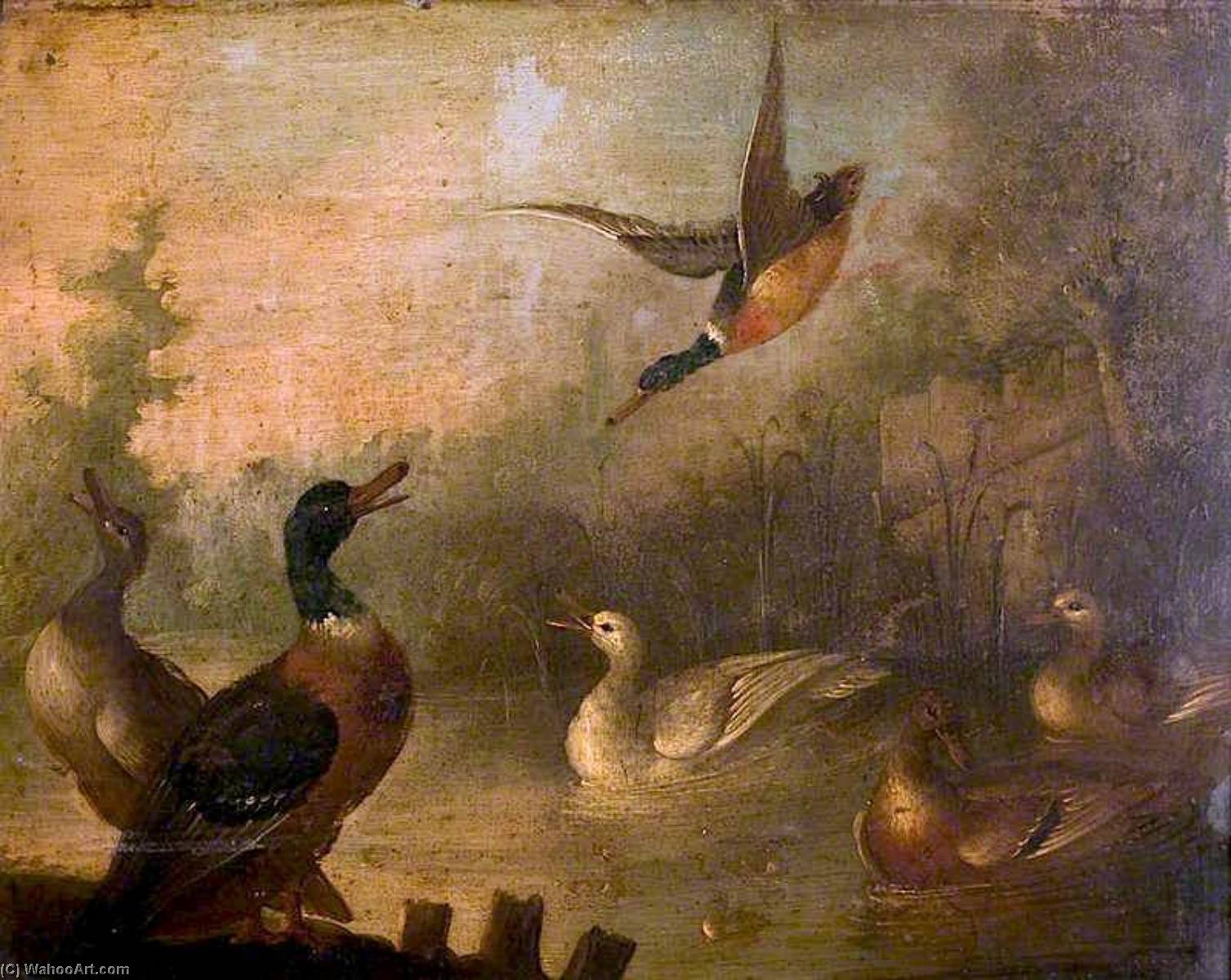 Wikioo.org - The Encyclopedia of Fine Arts - Painting, Artwork by Marmaduke Cradock - Mallards and a White Duck in a Pond