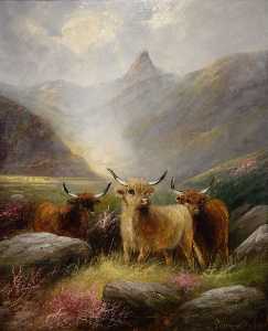 Highland Cattle in a Glen