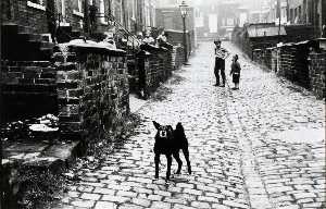 Leeds, England (alleyway between rowhouses, boys playing, dog)