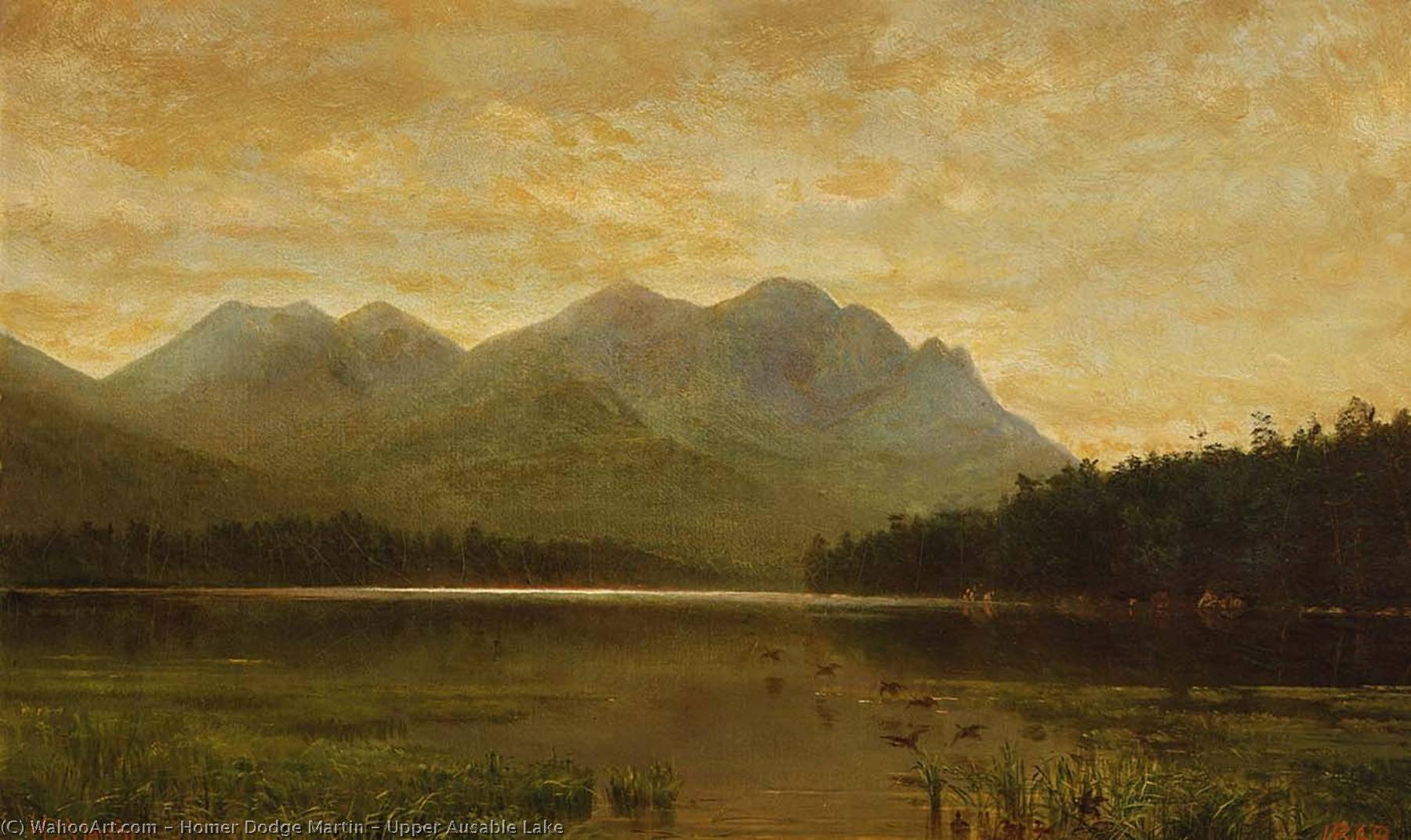 Wikioo.org - The Encyclopedia of Fine Arts - Painting, Artwork by Homer Dodge Martin - Upper Ausable Lake