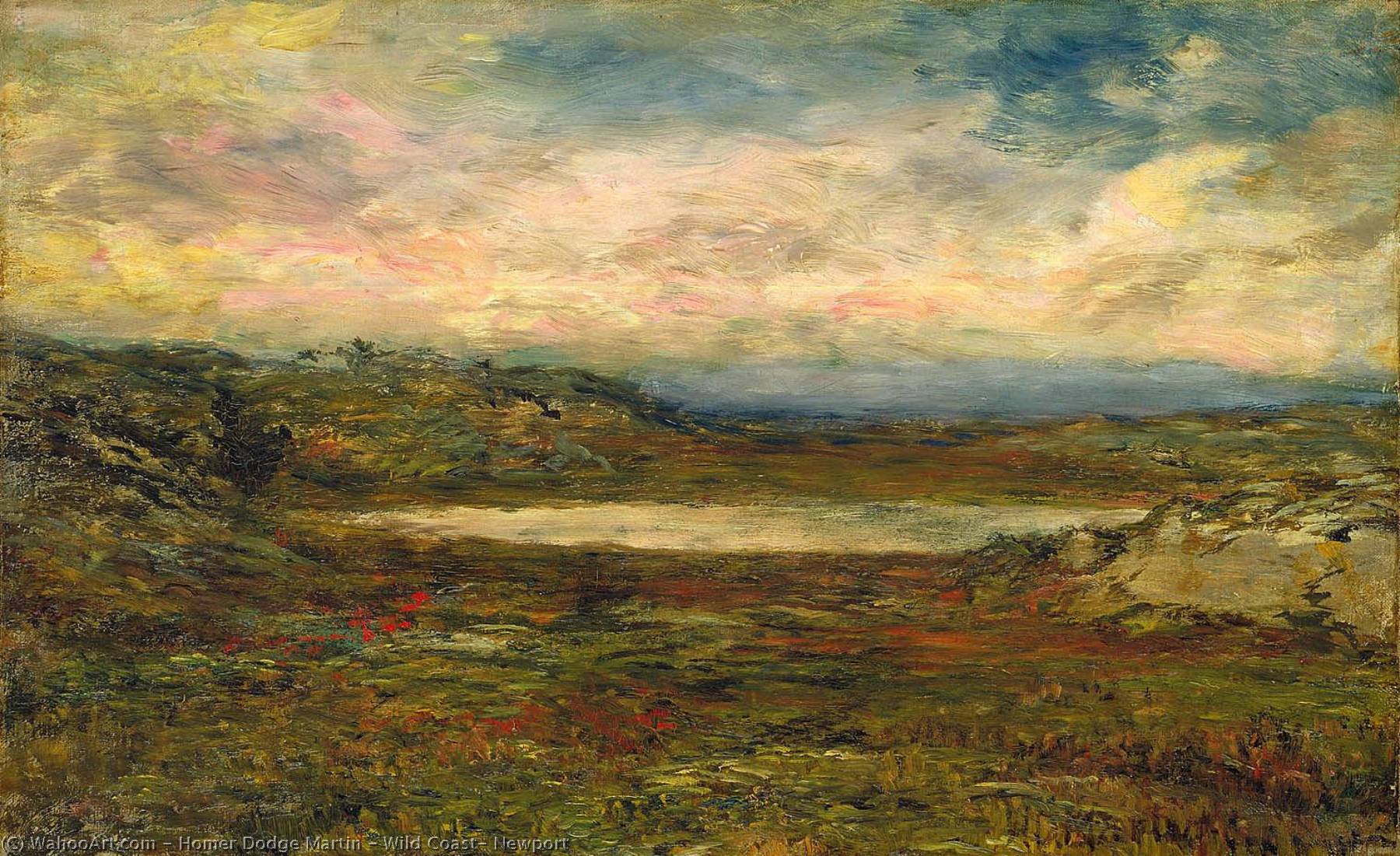 Wikioo.org - The Encyclopedia of Fine Arts - Painting, Artwork by Homer Dodge Martin - Wild Coast, Newport