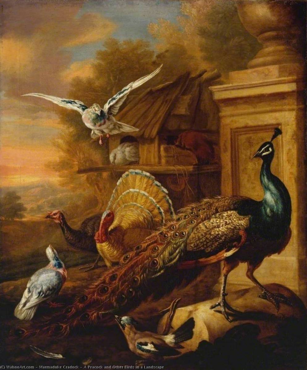 Wikioo.org - The Encyclopedia of Fine Arts - Painting, Artwork by Marmaduke Cradock - A Peacock and Other Birds in a Landscape