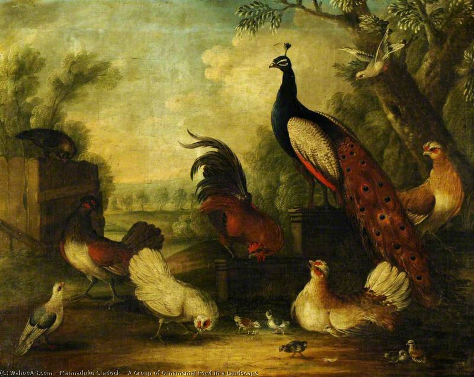 Wikioo.org - The Encyclopedia of Fine Arts - Painting, Artwork by Marmaduke Cradock - A Group of Ornamental Fowl in a Landscape