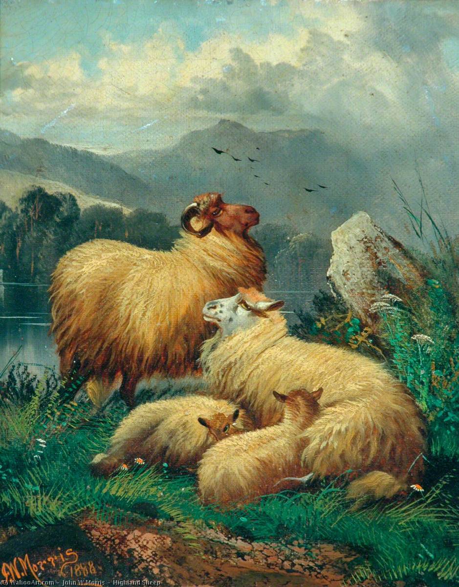 Wikioo.org - The Encyclopedia of Fine Arts - Painting, Artwork by John Morris - Highland Sheep