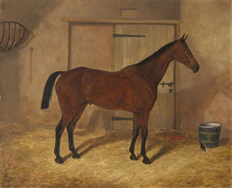 Wikioo.org - The Encyclopedia of Fine Arts - Painting, Artwork by Herbert D Atkinson - 'Carrick', a Bay Hunter in a Stable