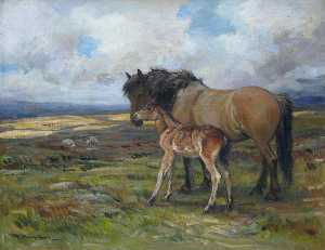 Wikioo.org - The Encyclopedia of Fine Arts - Artist, Painter  John Murray Thomson