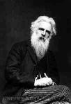 Eadweard J Muybridge