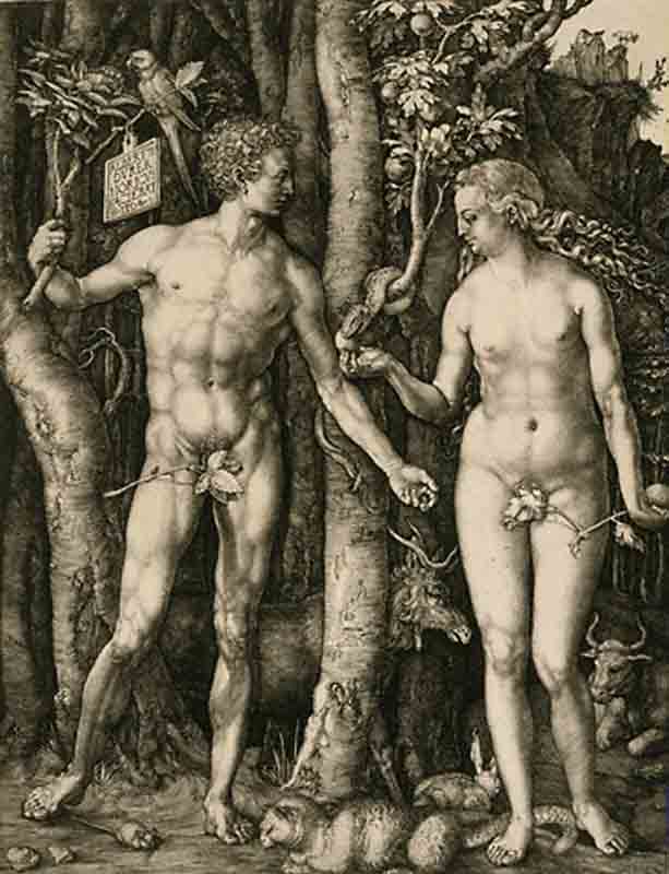 Wikioo.org – La Enciclopedia de las Bellas Artes - Pintura, Obras de arte de Albrecht Durer - Adán y Eva