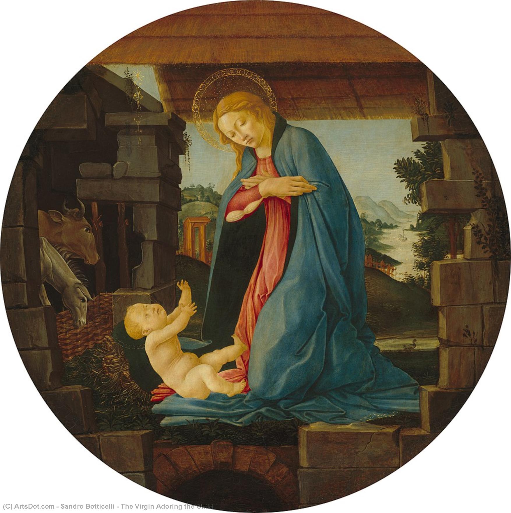 Wikioo.org - The Encyclopedia of Fine Arts - Painting, Artwork by Sandro Botticelli - The Virgin Adoring the Child