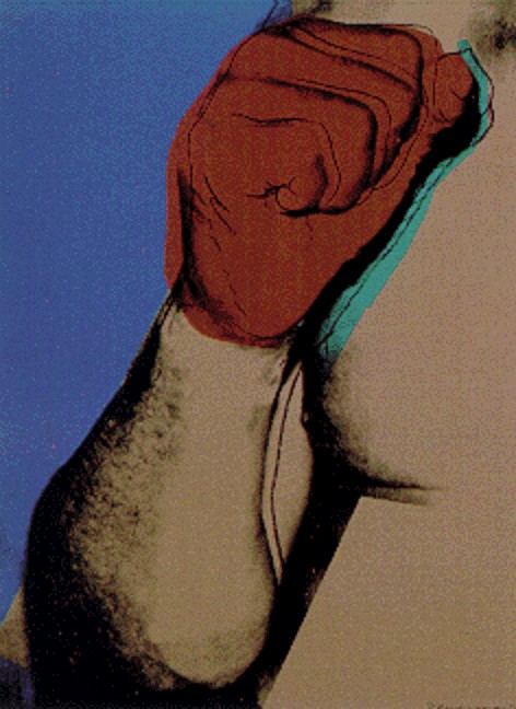 WikiOO.org - Encyclopedia of Fine Arts - Lukisan, Artwork Andy Warhol - Ali