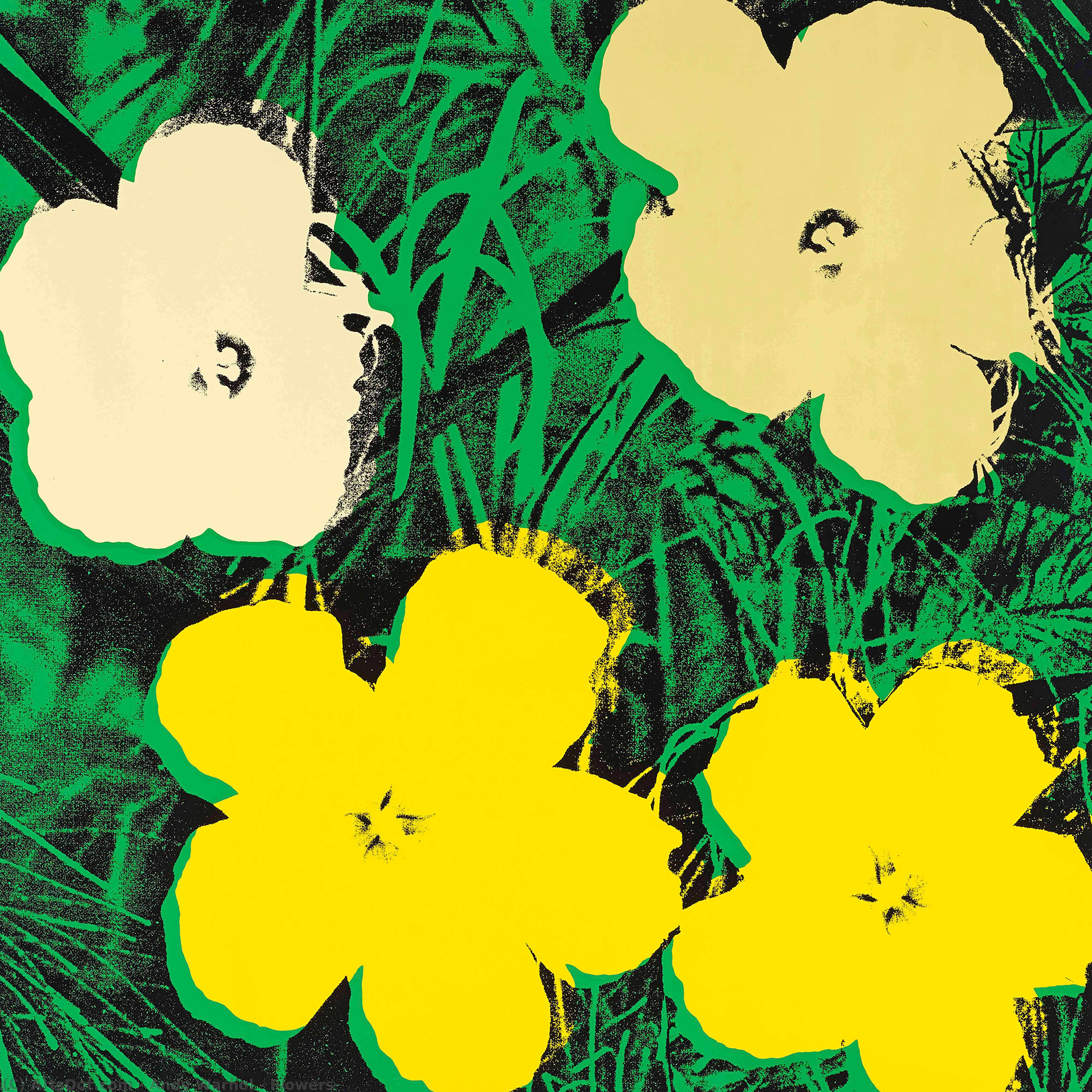 Wikioo.org - The Encyclopedia of Fine Arts - Painting, Artwork by Andy Warhol - Flowers
