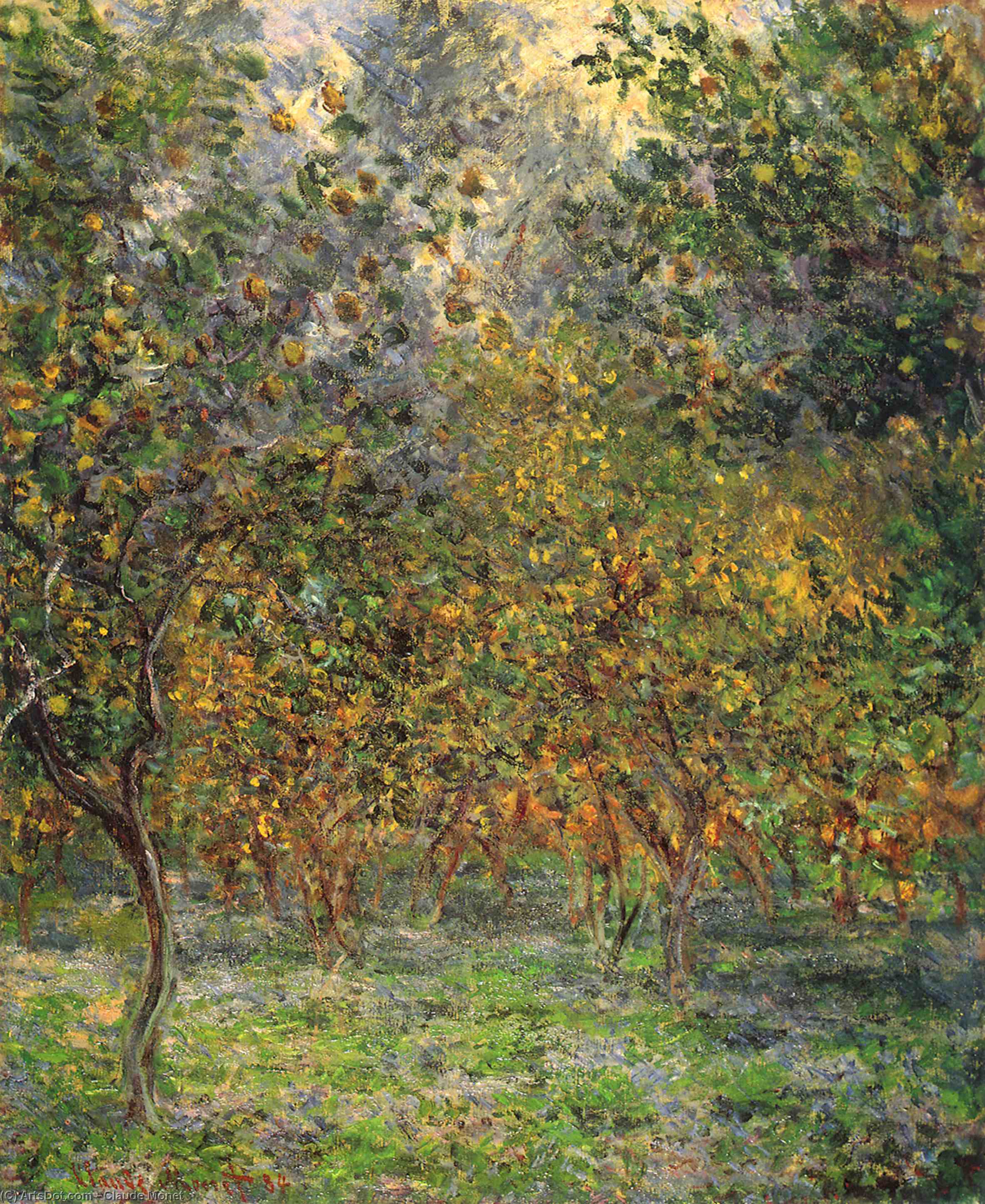 Wikioo.org - The Encyclopedia of Fine Arts - Painting, Artwork by Claude Monet - Lemon-Trees. Bordighera