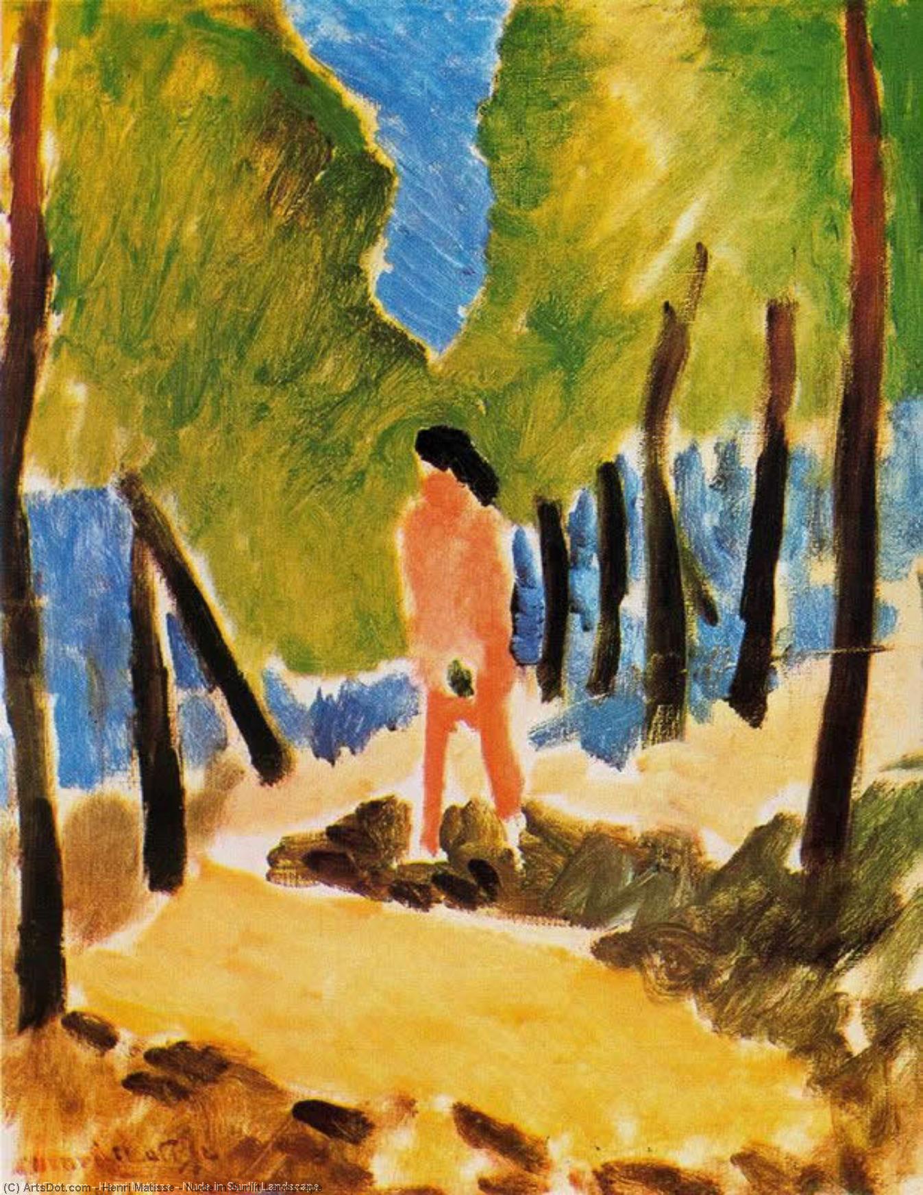 WikiOO.org - Encyclopedia of Fine Arts - Målning, konstverk Henri Matisse - Nude in Sunlit Landscape
