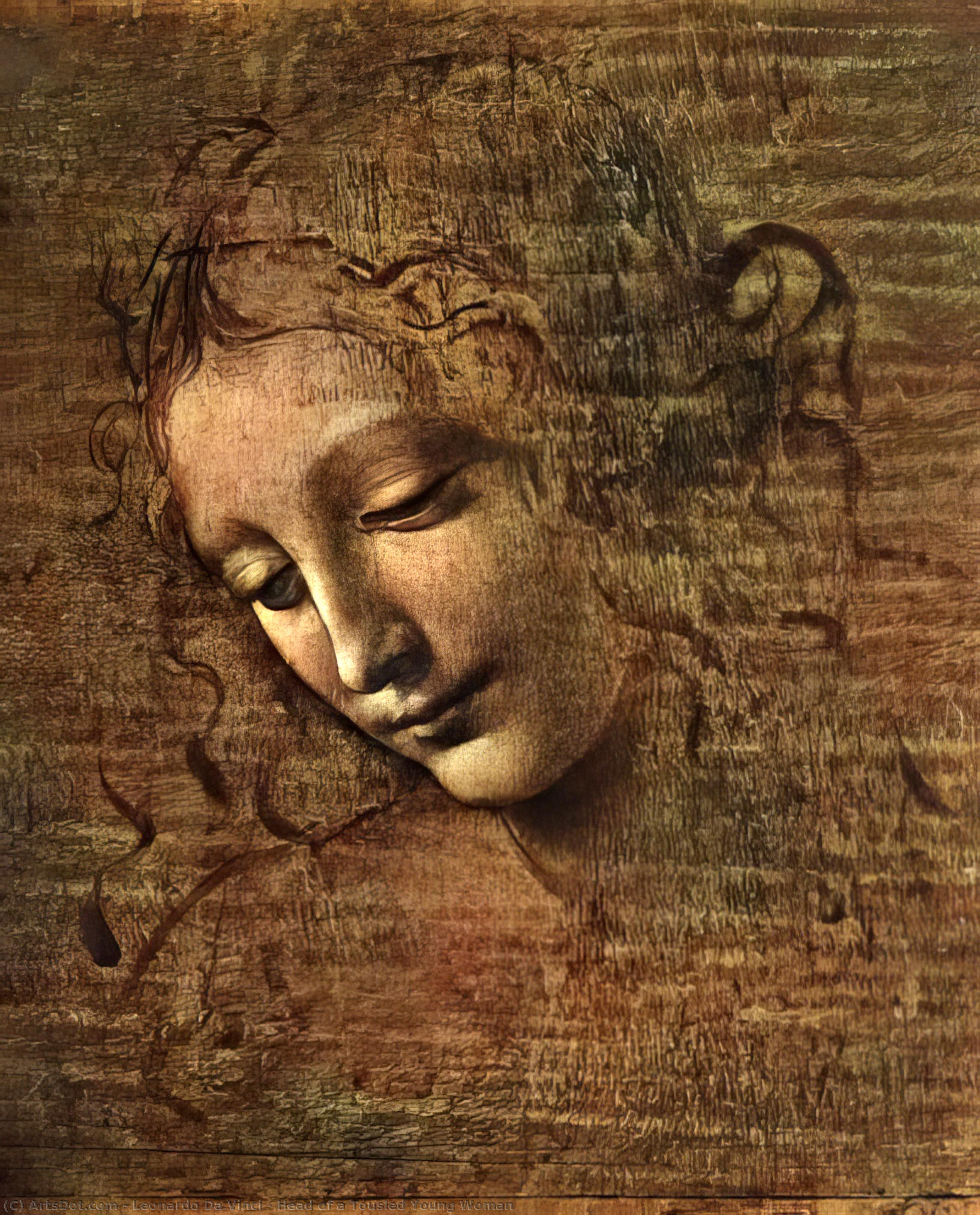 Wikioo.org - Encyklopedia Sztuk Pięknych - Malarstwo, Grafika Leonardo Da Vinci - Head of a Tousled Young Woman