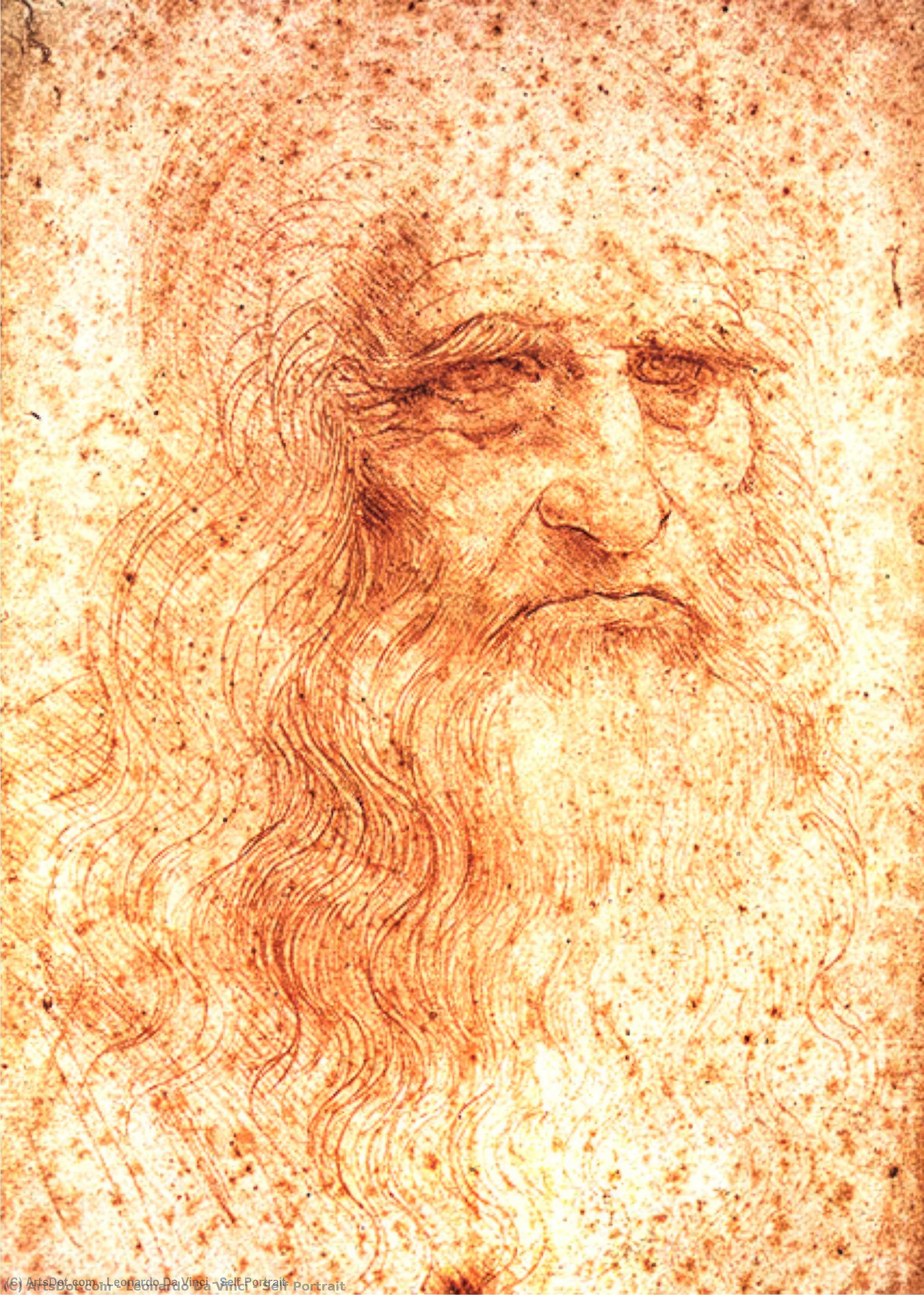 Wikioo.org - The Encyclopedia of Fine Arts - Painting, Artwork by Leonardo Da Vinci - Self Portrait