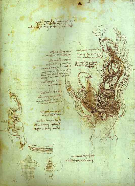 Wikioo.org - สารานุกรมวิจิตรศิลป์ - จิตรกรรม Leonardo Da Vinci - Coition of Hemisected Man and Woman