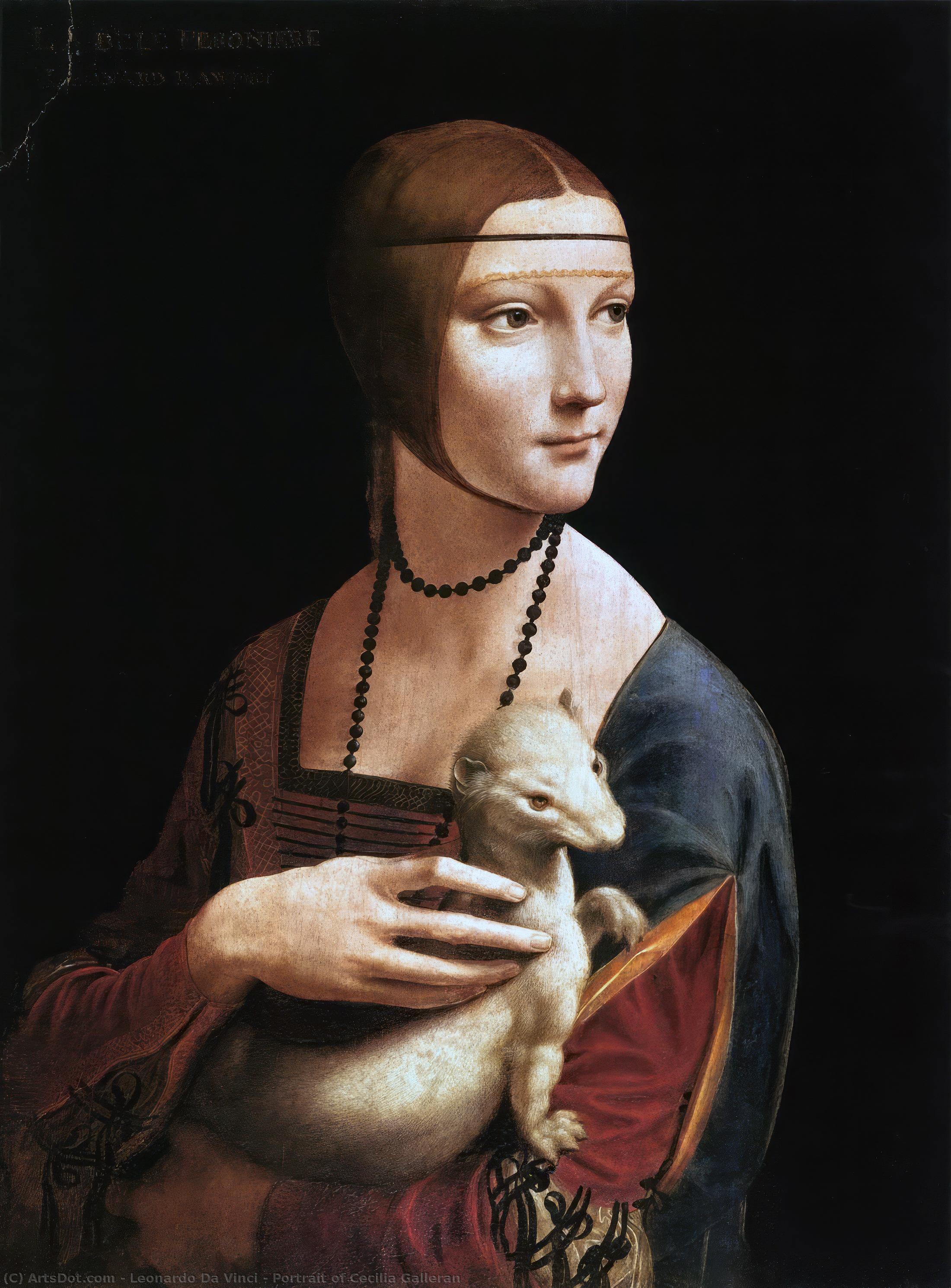 Wikioo.org - สารานุกรมวิจิตรศิลป์ - จิตรกรรม Leonardo Da Vinci - Portrait of Cecilia Galleran