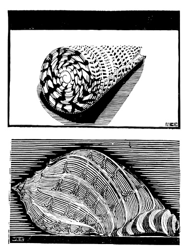 Wikioo.org - Bách khoa toàn thư về mỹ thuật - Vẽ tranh, Tác phẩm nghệ thuật Maurits Cornelis Escher - 13