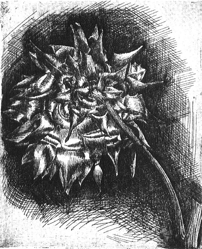 WikiOO.org - Енциклопедия за изящни изкуства - Живопис, Произведения на изкуството Maurits Cornelis Escher - 14