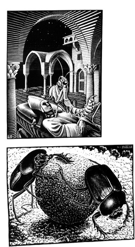Wikioo.org – La Enciclopedia de las Bellas Artes - Pintura, Obras de arte de Maurits Cornelis Escher - (19)